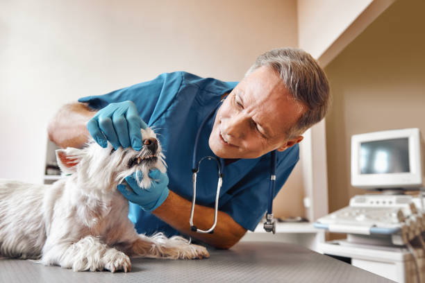 Best Emergency Treatment for Dental Infections or Abscesses in Fort Stewart, GA